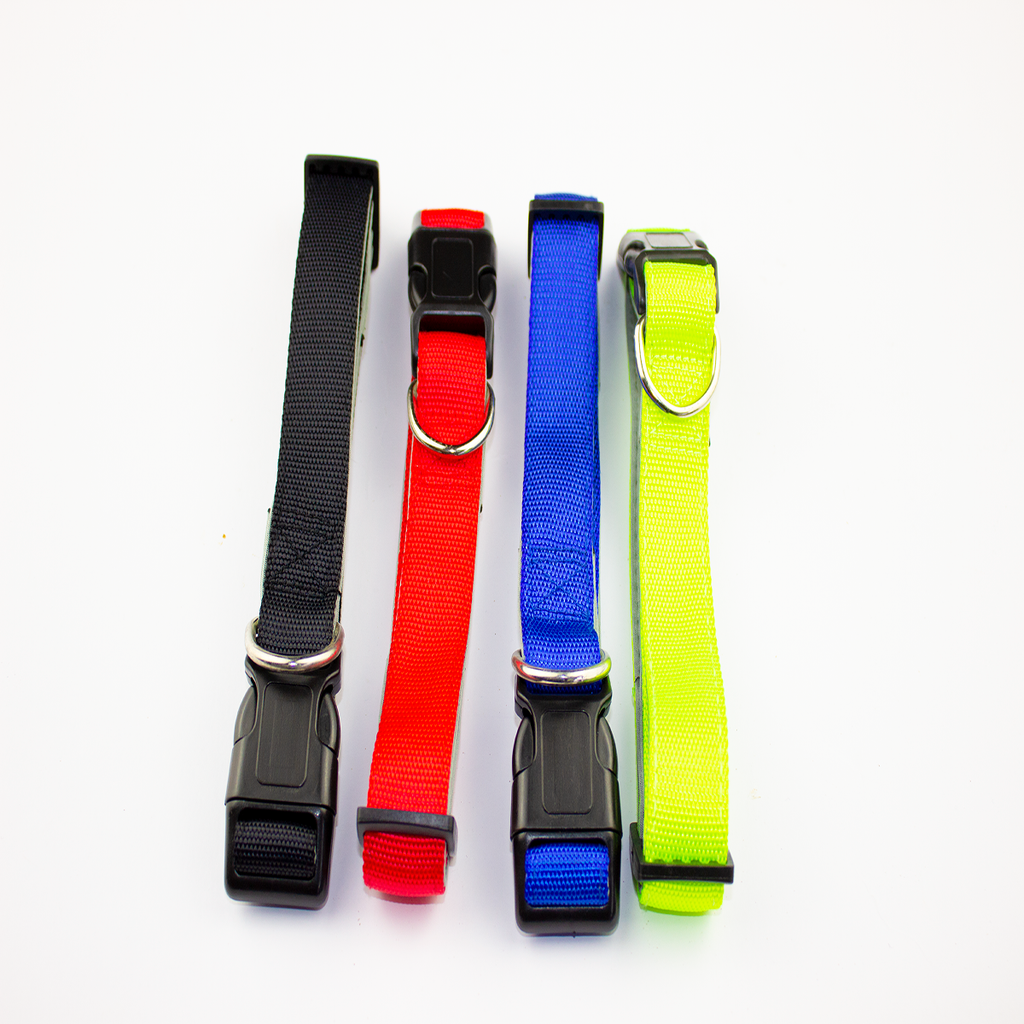 Nylon Collar With Soft Padding 25mm The Paw Store