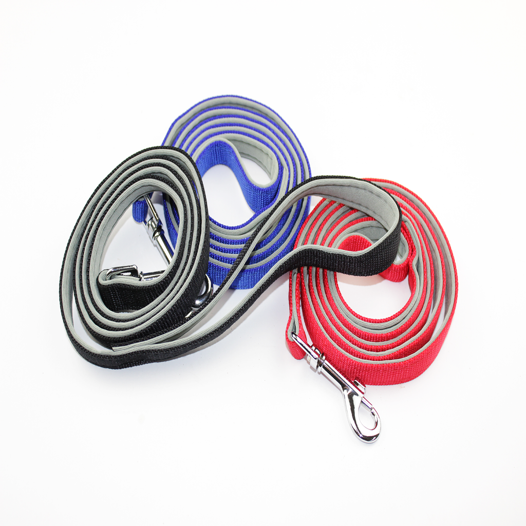 Nylon Dog Leash With Soft Padding 15mm The Paw Store