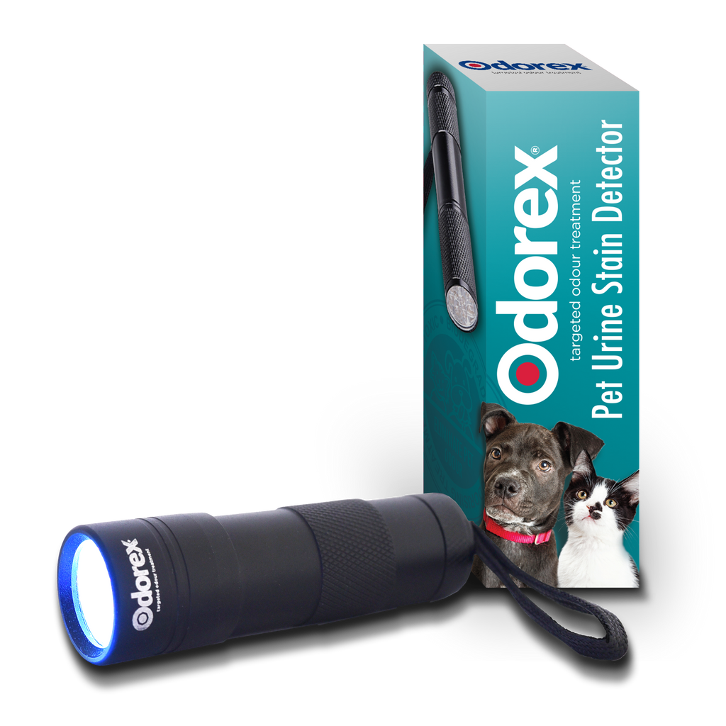 Odorex Pet Urine Stain Detector The Paw Store