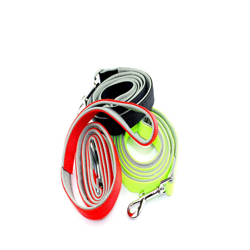 Nylon Dog Leash With Soft Padding 20mm The Paw Store