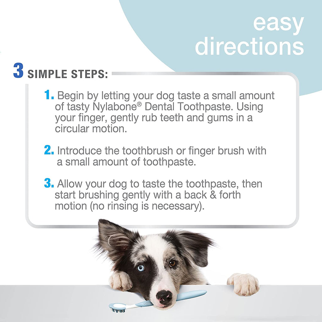 Nylabone dog cheap toothbrush