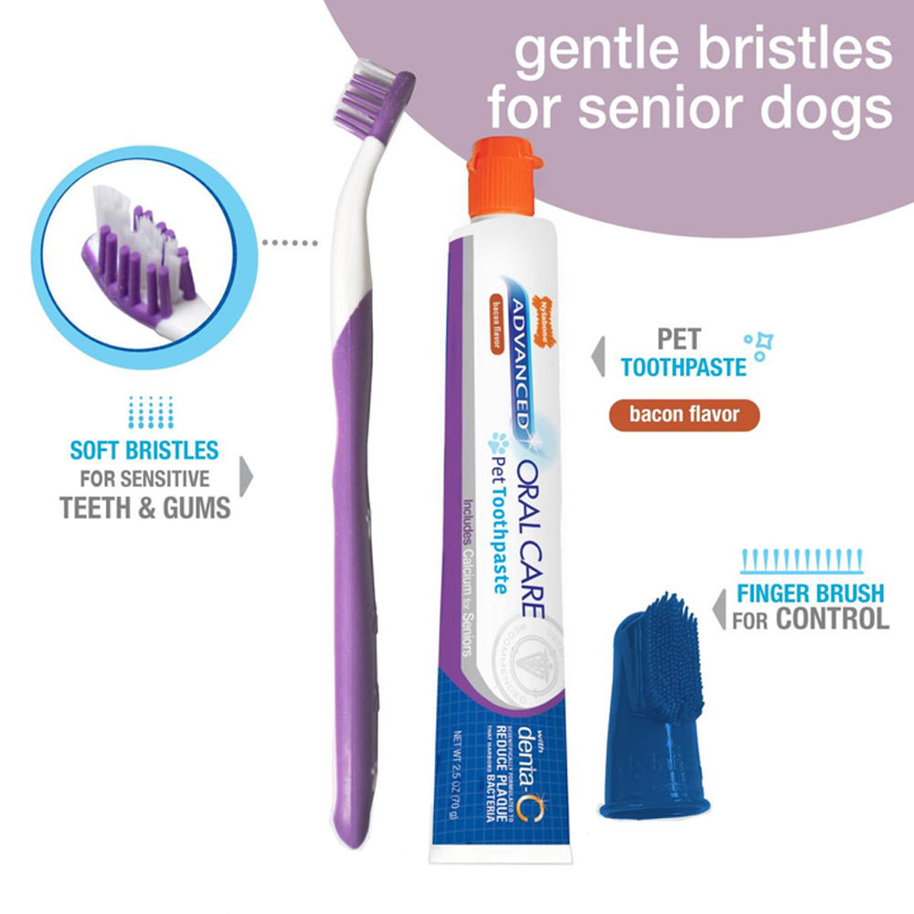 Nylabone Advanced Oral Care Senior Dog Dental Kit The Paw Store