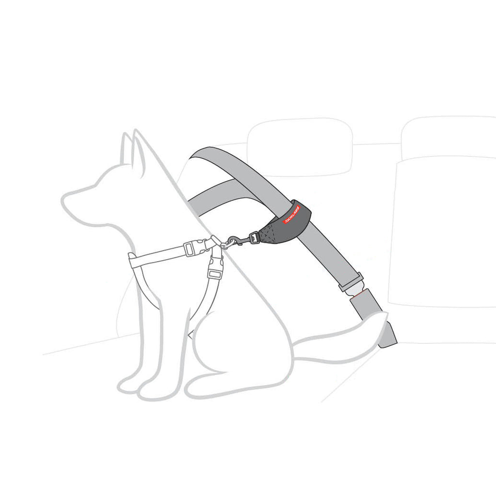 EzyDog Seat Belt Car Restraint The Paw Store