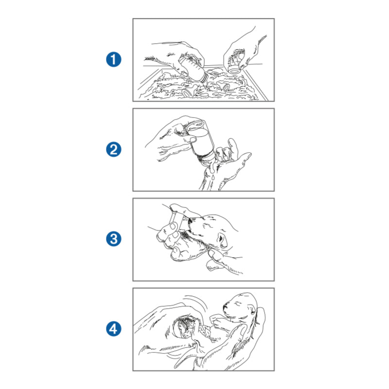 Trixie Pet Nursing Kit For Newborn Puppies & Kittens The Paw Store