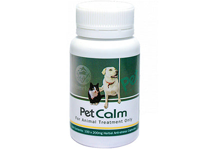 Have Your Pets Ever Become Stressed?