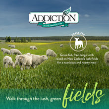 Addiction Le Lamb Kibble for Dogs