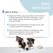 Nylabone Advanced Oral Care Dental Kit For Dogs