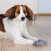 Trixie Dog Non-Slip Dog Socks