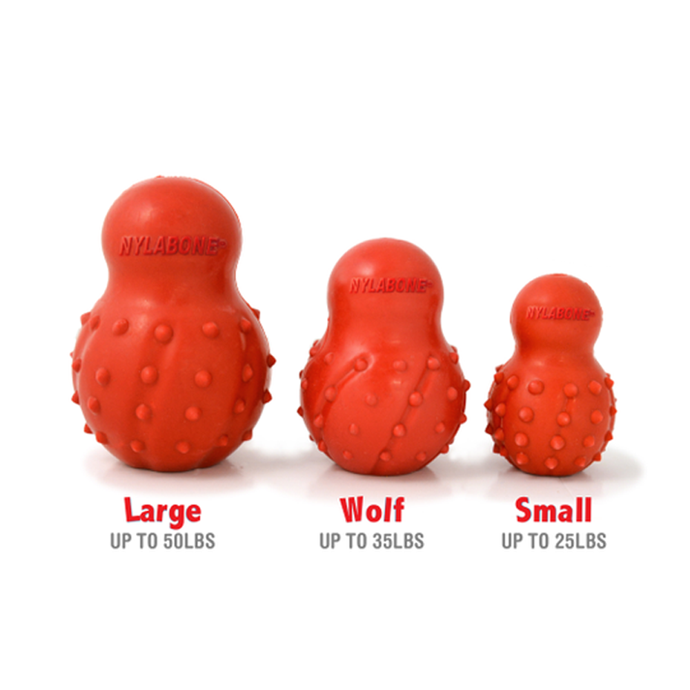 Nylabone sales small dog