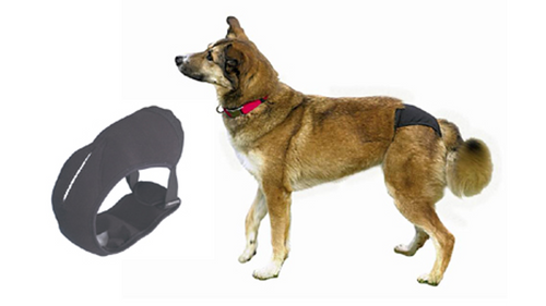 Female Protective Dog Pants