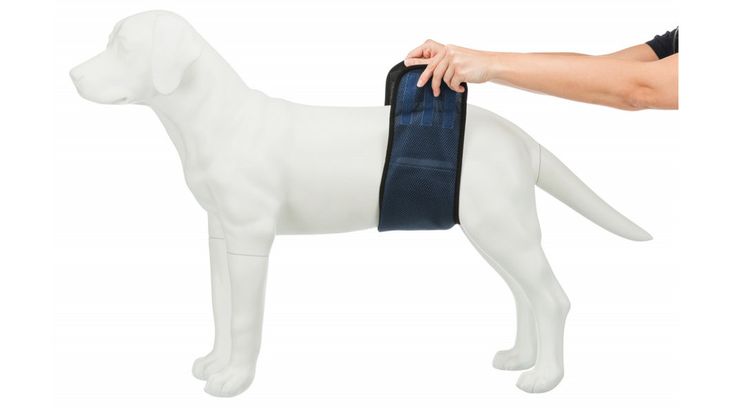 Premium Padded Belly Bands For Male Dogs - Reusable, All Sizes From XXS To XXL