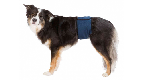 Belly Band for Male Dogs