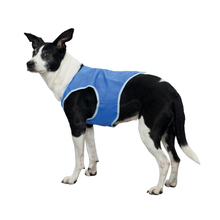 Trixie Dog Cooling Vest