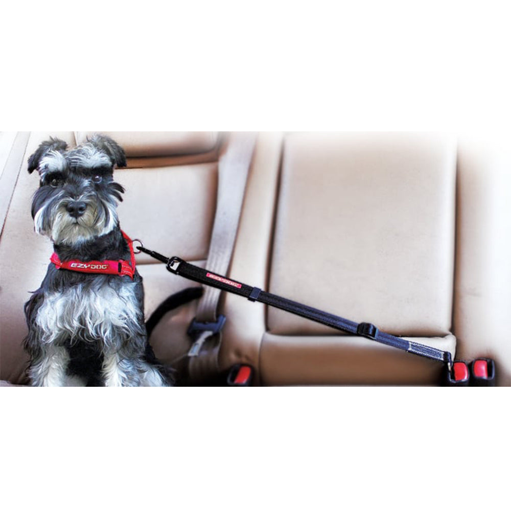EzyDog Adjustable Car Seatbelt Attachment For Dogs – The Paw Store