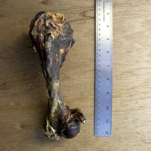 Veal Clod Bone Dog Chews