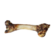 Lamb Femur Bone For Dogs