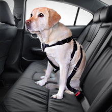 Trixie Dog Car Harness - S/M/L