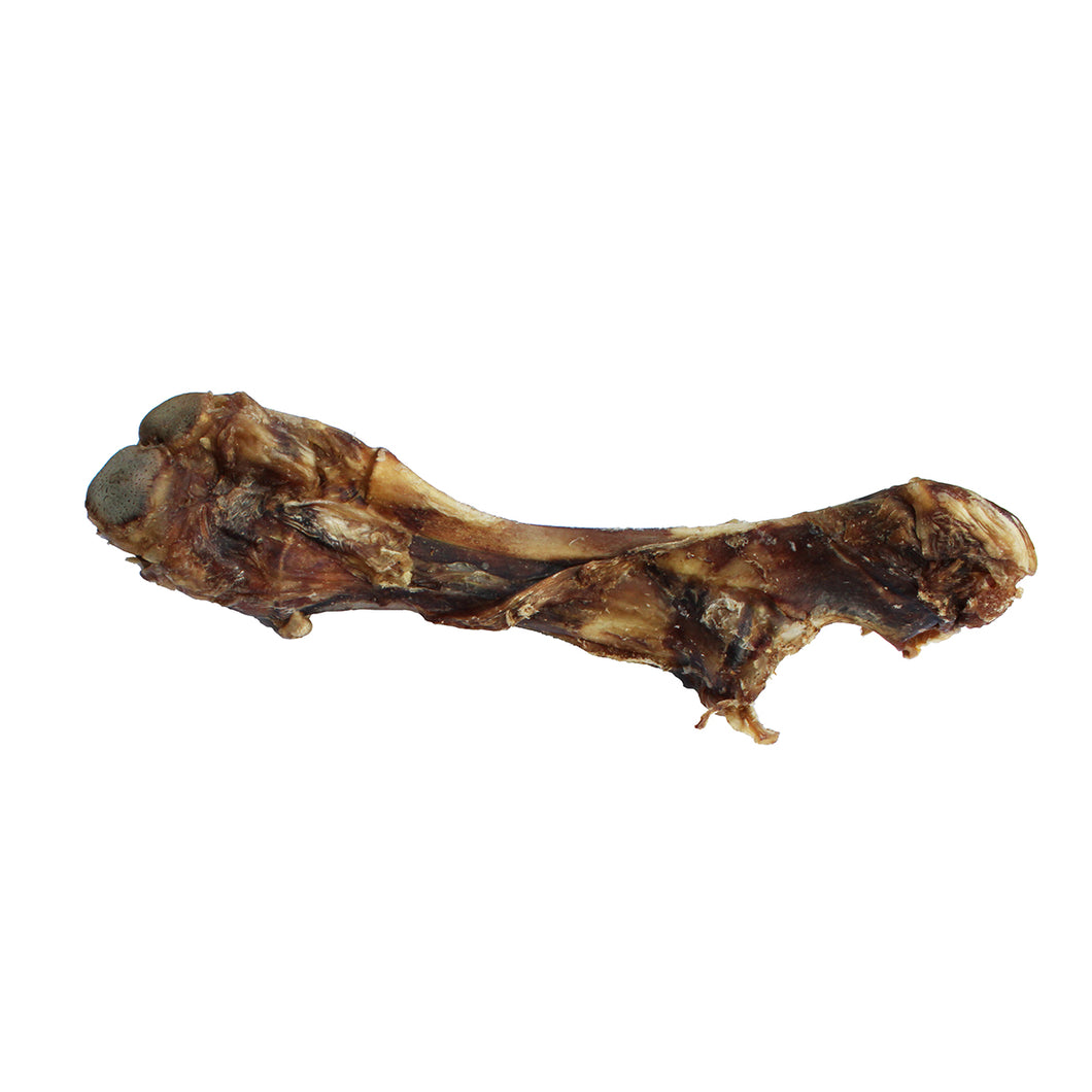 Veal Femur Bone Dog Chew